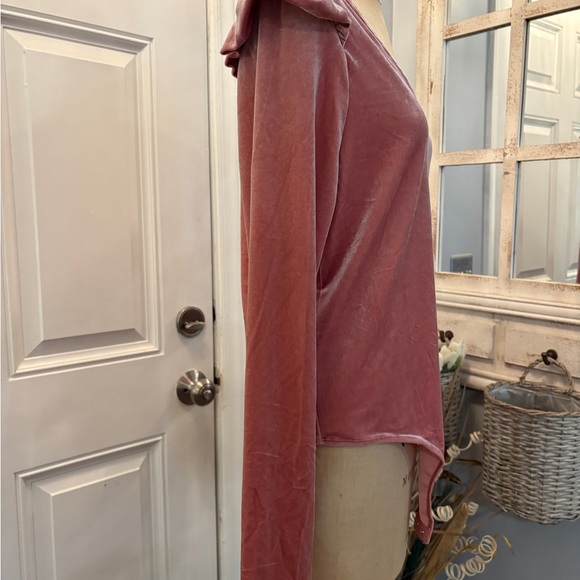 Elegant Celebrity Pink Long Sleeve Velvet Women's Bodysuit‎ XL NWT - Picture 2 of 6